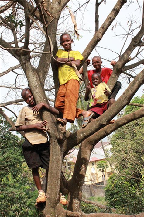 Land, Natural Resources and Conflict: From Curse to Opportunity. An UN-EU Partnership in action