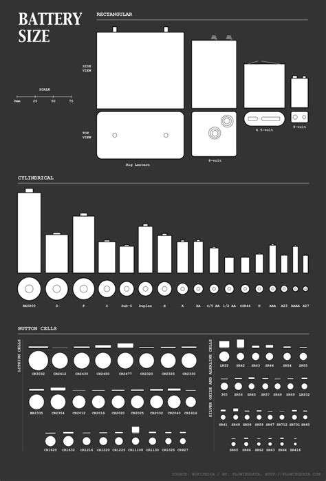 A Diagram of All the Batteries | FlowingData | Button cell, Battery ...