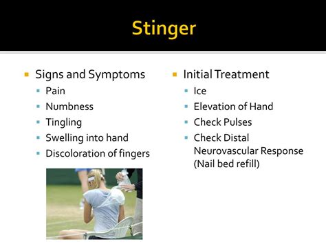 PPT - Brachial Plexus Injury “Stinger” PowerPoint Presentation, free download - ID:5262372