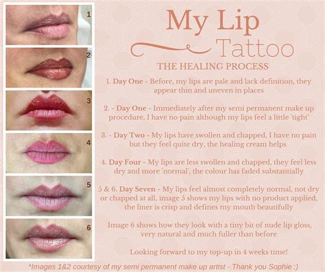 Lisa Thomas on Twitter | Permanent lipstick, Lip permanent makeup, Lip color tattoo