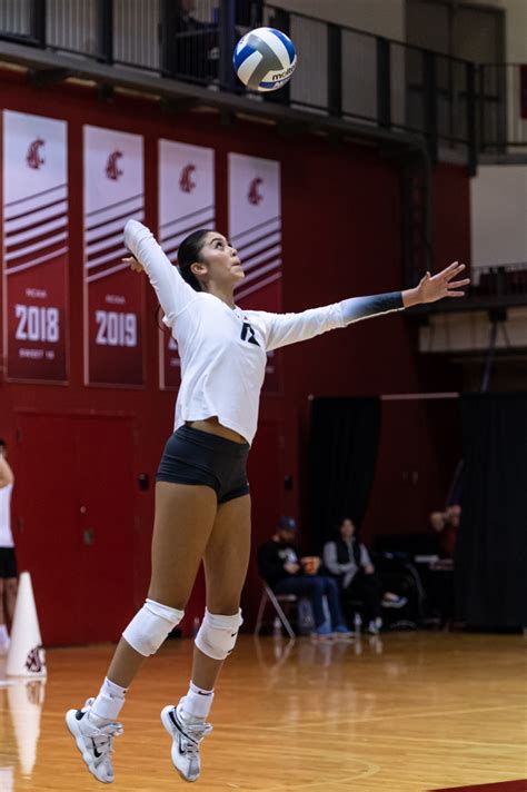 Be in Bohler: WSU volleyball deserves it – The Daily Evergreen