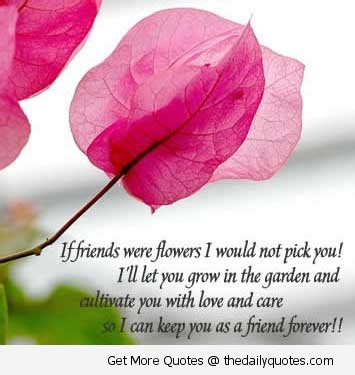 Flower Quotes About Friendship. QuotesGram