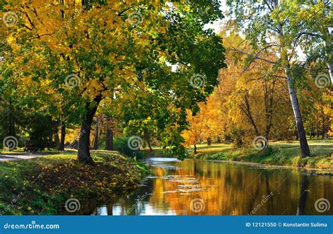 Peace and Quiet stock photo. Image of october, branch - 12121550