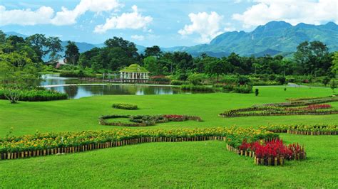 Xishuangbanna Tropical Botanical Garden: Research, Preservation, and ...