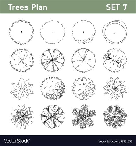 Tree plan top view set 7 Royalty Free Vector Image