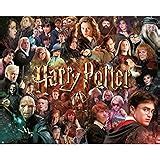 Amazon.com: New York Puzzle Company - Harry Potter Goblet of Fire - 1000 Piece Jigsaw Puzzle ...