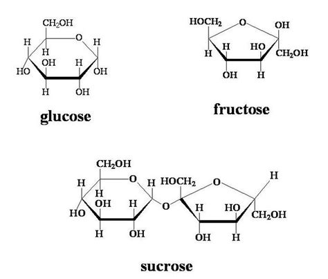 Structure Of Glucose Fructose And Sucrose