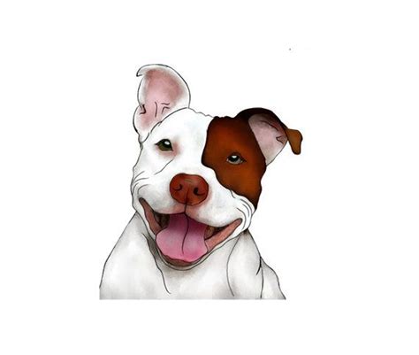 Free Pitbull Cliparts, Download Free Pitbull Cliparts png images, Free ...