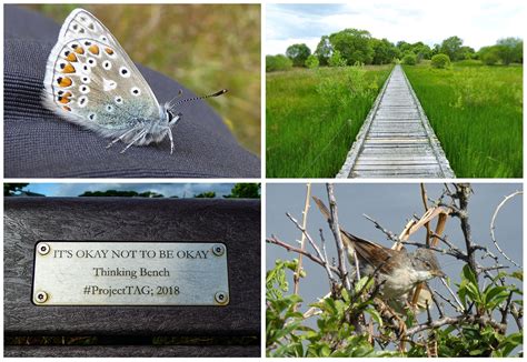 The Fife Coastal Path – it only took me 12 years! | Walkhighlands