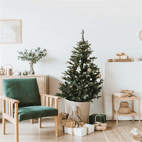 7 Amazing Sustainable Christmas Tree Ideas For Your Eco-Friendly ...