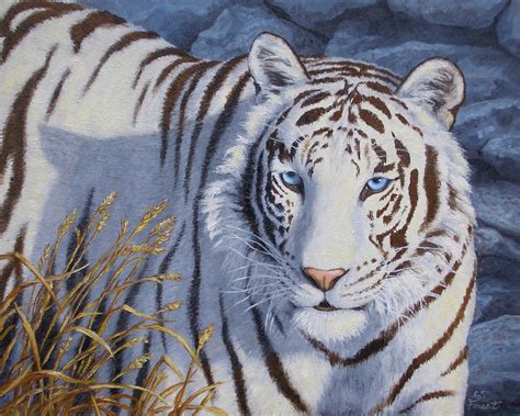 White Tiger - Crystal Eyes Painting by Crista Forest - Fine Art America