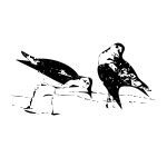 Silhouette vector illustration of birds | Free SVG