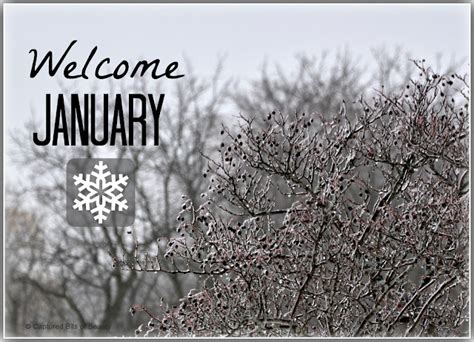 Captured Bits of Beauty: Welcome January