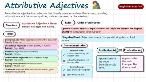 Attributive Adjectives in English With Examples