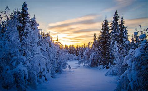 Wallpaper : sunlight, trees, landscape, nature, snow, winter, ice ...