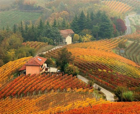 THE BEST OF AUTUMN - ON EXPLORE | NORTHERN ITALY - PIEMONTE … | Flickr