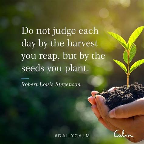 The seeds you plant : r/MotivateInspire