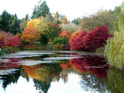 Best Places to See Fall Colours around Vancouver - Inside Vancouver ...