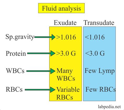 Fluid Analysis – Part 4 – Ascitic fluid, Peritoneal tap, abdominal paracentesis, abdominal tap ...