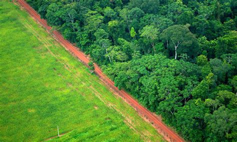 Tropical Deforestation and Global Warming | Union of Concerned Scientists