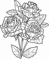 Alluring Rose coloring Page  Download Print Or Color Online For Free sketch template