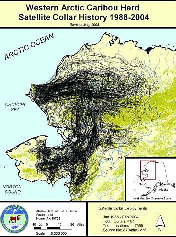 ANILCA and the Western Arctic Caribou Herd Cooperative Management Plan ...