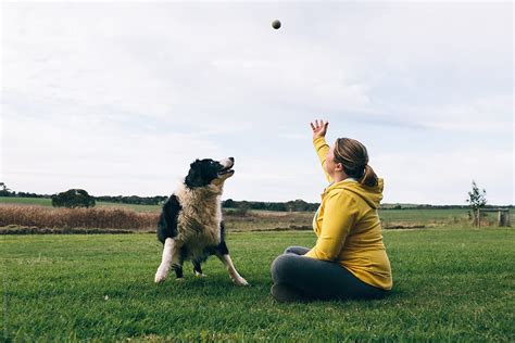 "Playing Catch With The Family Dog" by Stocksy Contributor "Robert Lang" - Stocksy