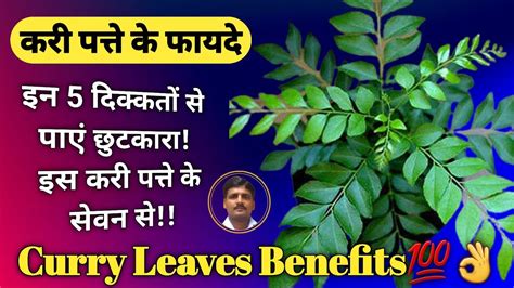 Curry Leaves - Benefits & How to take ? करी पत्ते के फायदे | Curry Leaves Benefits - YouTube
