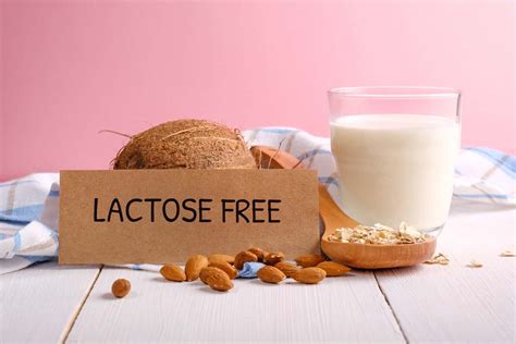 Can Cats Drink Lactose Free Milk?