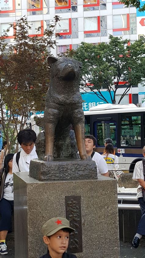 Hachi statue in japan Instagram : @viene_wanderlust | Japan, Japan travel, Trip