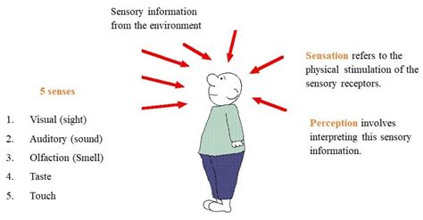 Visual Perception Theory In Psychology