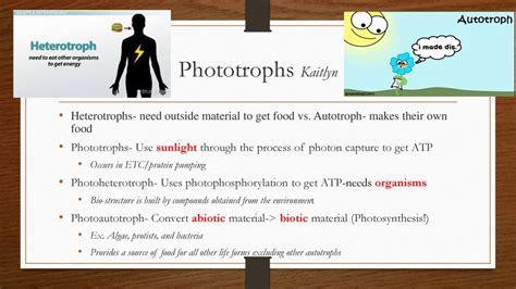 Bacteria Structure, Reproduction, and Recombination - ppt download