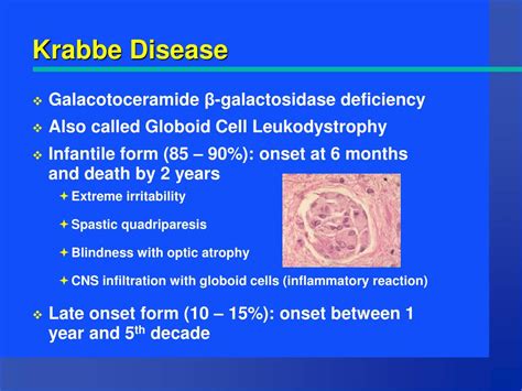 PPT - Krabbe Disease PowerPoint Presentation, free download - ID:2924824