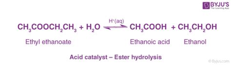 Ester Hydrolysis - Mechanism and Applications of Ester Hydrolysis