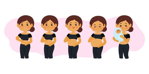 Free Vector | Pregnancy stages illustrated design