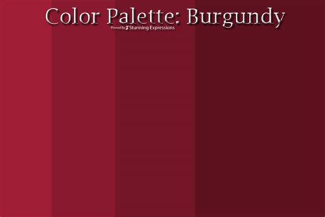 | Color Palette Burgundy | – Stunning Expressions