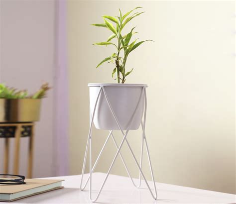 Buy Classic White Planter with Stand Online in India at Best Price ...