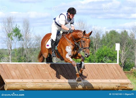 Red chestnut horse jumping editorial stock image. Image of courage - 15745749
