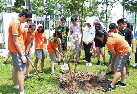 Students planting trees in celebration of International Children's Day 01.06 - Singapore ...