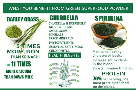 Green Superfood Powder And It's Benefits - GREENS SUPERFOOD