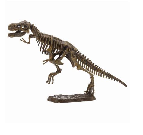 Dinosaur Skeleton Puzzle - Maryland Historical Society