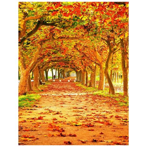 3x5ft Yellow Natural Scenic Photography Backdrops Autumn Backdrop Beautiful Leaves Trail Photo ...