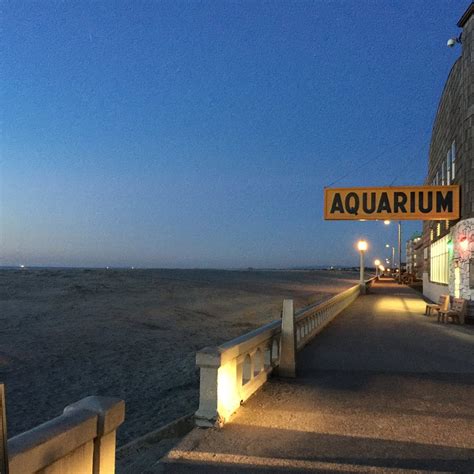 SEASIDE AQUARIUM - All You Need to Know BEFORE You Go