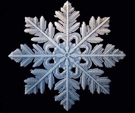 Premium AI Image | The symmetry of snowflakes