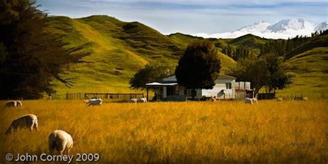 Farm House Landscape | New Zealand farmhouse with sheep in f… | Flickr