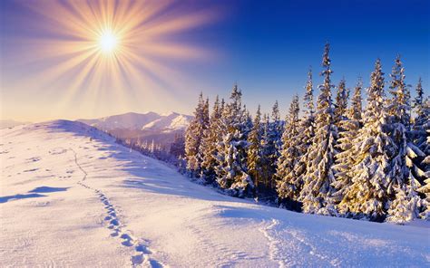 Winter Sunlight Wallpapers - Wallpaper Cave