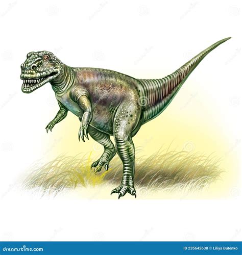 Megalosaurus, Dinosaur of the Jurassic Period Stock Illustration - Illustration of jurassic ...