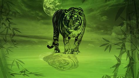 HD wallpaper: tiger painting, big cats, nature, bamboo, reflection ...