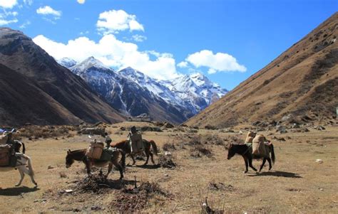 Jomolhari Base Camp Trek | 10 Days Trek | Bhutan - KKday