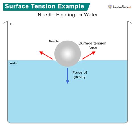 Surface Tension: Definition, Examples, and Unit